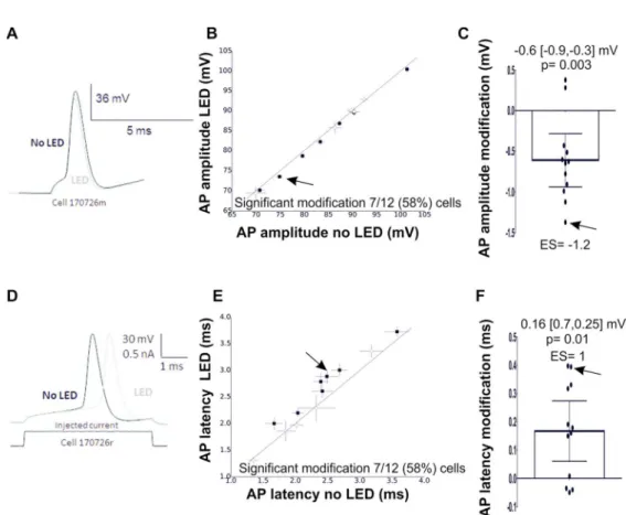 Figure 9: LED stimulation (blue light; 13 mW ) modify AP amplitude and latency. A) Example of effect of  light on AP amplitude