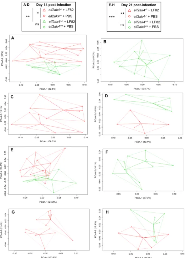 Figure 3.  Colonization of eif2ak4 −/−  mice with AIEC results in modification of the gut microbiota composition  at day 14 and 21 post-infection