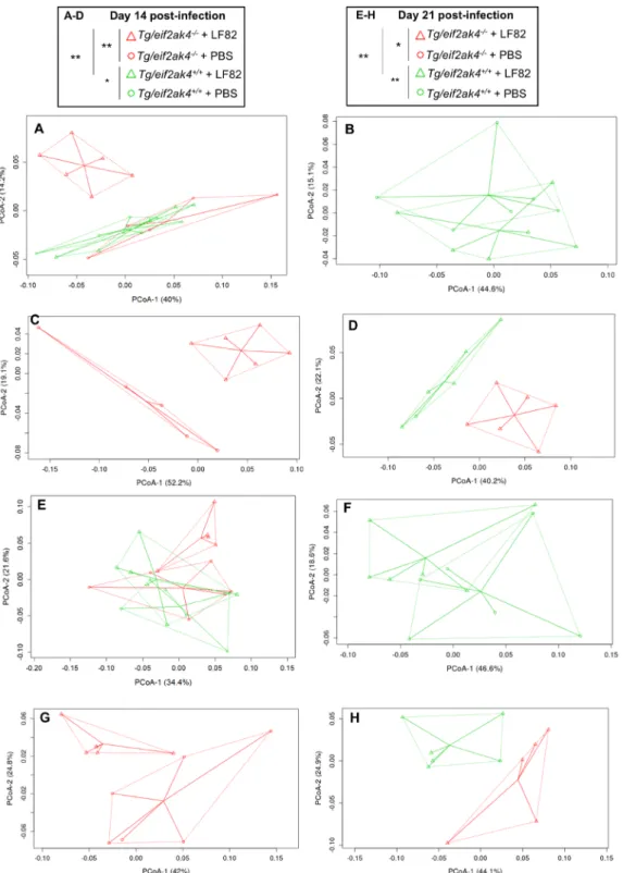 Figure 6.  Colonization of CEABC10 transgenic (Tg) mice deficient in Eif2ak4 gene with AIEC LF82 results  in modification of the gut microbiota composition at days 14 and 21 post-infection