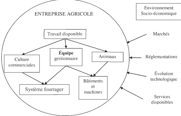 Figure  5 - L'entreprise agricole vue comme un  système! 