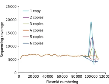 Figure 2. Depth of sequencing of pRmtH according to the rmtH-ISCR2 unit number. This figure appears in colour in the online version of JAC and in black and white in the print version of JAC.