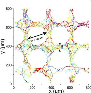 Figure 1 shows the typical geometry and a set of trajectories of cells measured over 10 seconds for a given inter-pillar distance of 50 micrometers (d = 50 µm) at a time interval of 1/15 s.