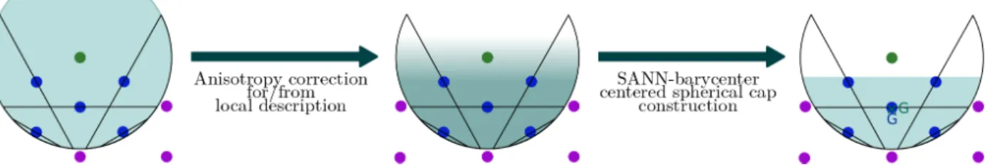 FIG. 4: Illustration of the SANN coordination number overestimation, and founding idea of the ASANN algorithm: tackle local anisotropy by focusing on relevant regions for coordination