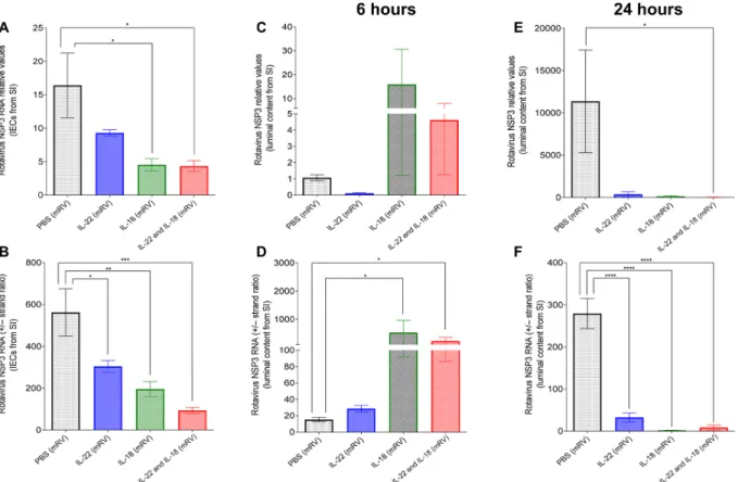 Fig. 7. Administration of IL-18 rapidly releases the replicating virus into the luminal side