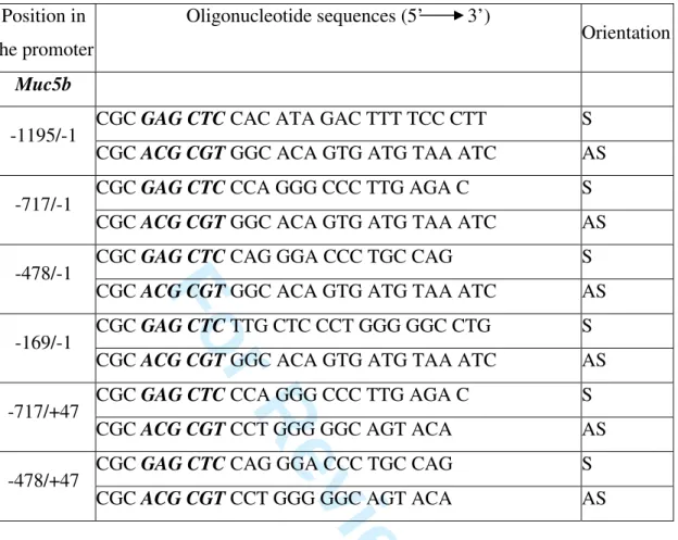 Table 1: Sequences of the pairs of oligonucleotides used in PCR to produce deletion mutants  covering  murine  Muc5b  promoter
