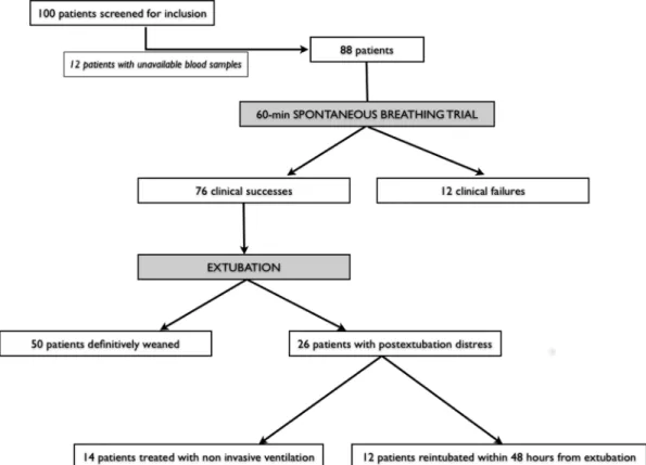 Figure 1. Study flowchart. Patients were screened from a population of weaning patients [5].