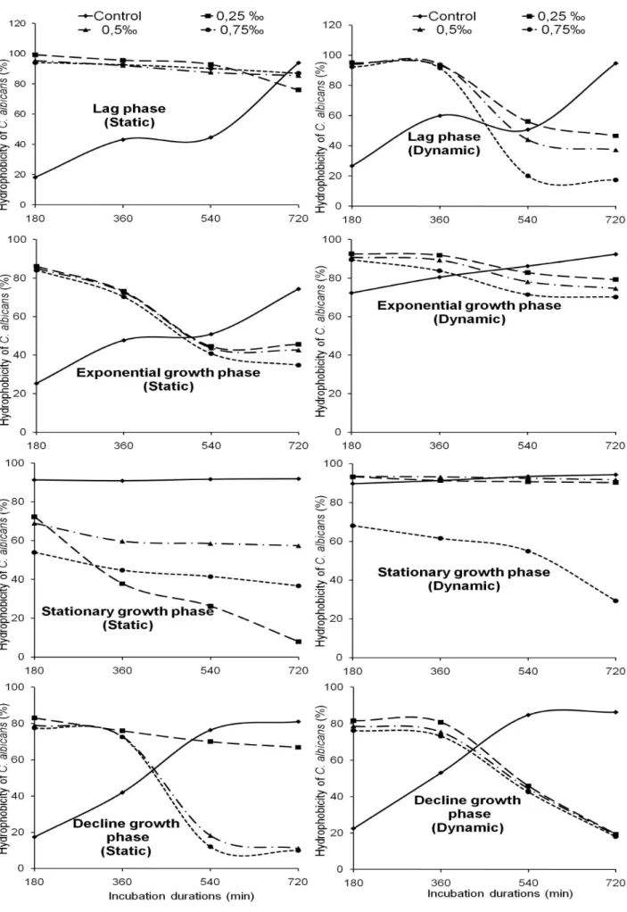 Figure  3.  Variation  of  the  hydrophobicity  of  C.  albicans  cells  surface  under  static  and  dynamic  conditions  in  the  solution  containing NaOCl at various concentrations, with respect to the incubation durations