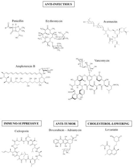 Figure 1. Example of molecules synthetized by the hybrid non-ribosomal peptide synthetase-polyketide synthase (NRPS-PKS) assembly lines.