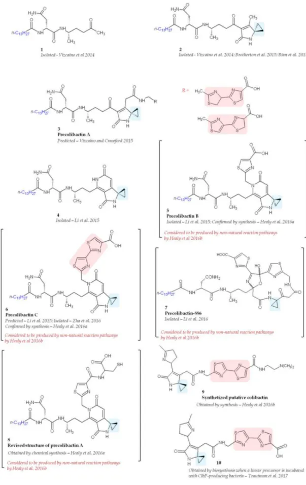 Figure 5. Structure of isolated, predicted, and synthetized precolibactins. Adapted from Reference [40].