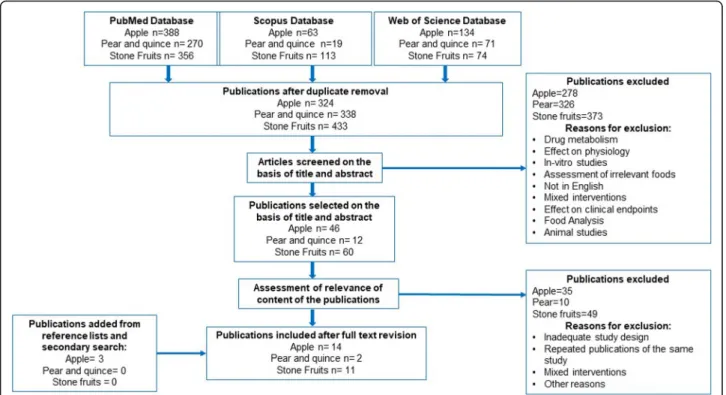 Fig. 1 Flow diagram of study selection according to the BFIRev procedure