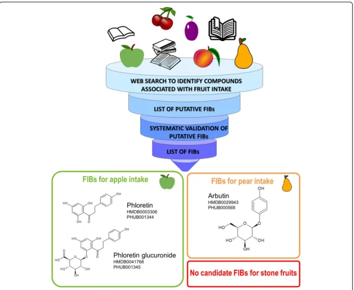 Fig. 2 Scheme of literature evaluation process for pome fruits with BFIs: phloretin, phloretin glucuronide, and arbutin