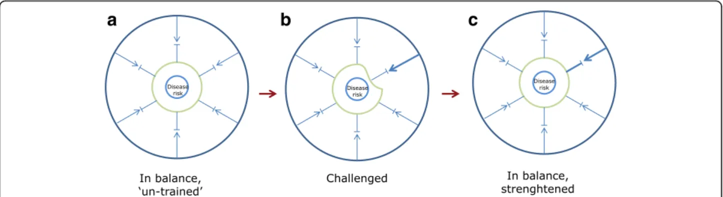 Fig. 6 System training by challenging. a In the naive, untrained but balanced state, the capacity to withstand a challenge is limited