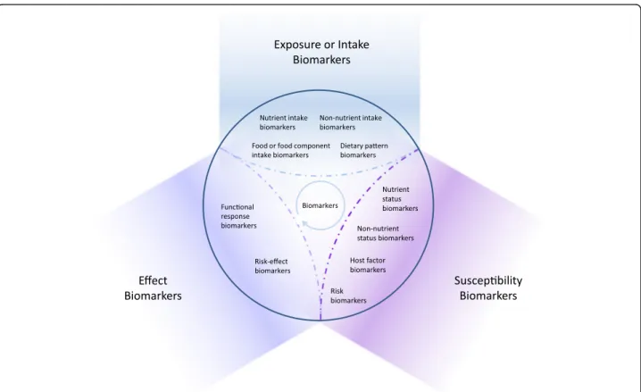 Fig. 4 Classification of dietary and health biomarkers within the space shaped by the three hyper-categories of biomarkers, exposure, susceptibility and effect