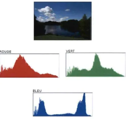 Figure 8 :  Les différents histogrammes d' une image couleur  ROB. 