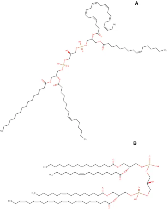 Figure 1. An illustration of how the lipid structures looked like in HMDB 3.0 (A) and how they now appear in HMDB 4.0 (B) for the compound Cardiolipin(16:0 / 16:1 / 16:1 / 22:6).