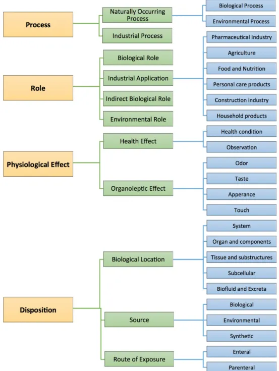 Figure 2. A schematic diagram of the ontology structure in HMDB 4.0 for the first three ontological levels.