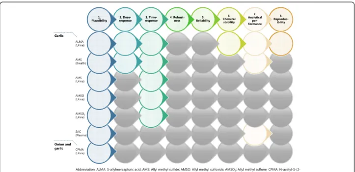 Fig. 3 Overview of the validation process and its application for candidate BFIs for Allium vegetables