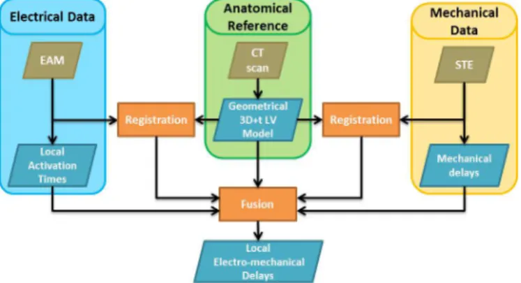 Fig. 1. Proposed workflow.