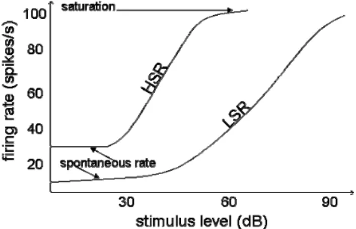 Fig. 1.  Raise of the firing rate of two auditory nerve fibers with the stimulus  level