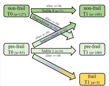 FIGURE 1 | Study design and frailty status evolution of the subjects over the 1-year period