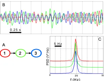 Fig. 1. Simulated signals. A. Considered scenario for connectivity among  neuronal populations