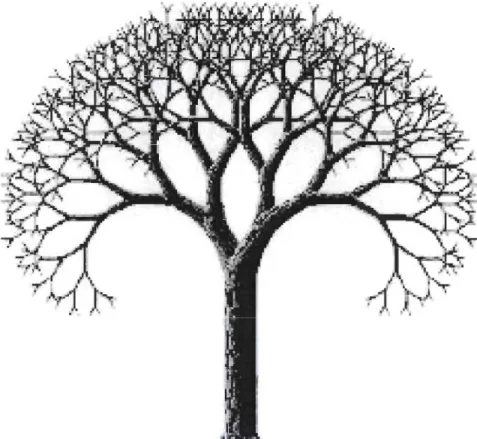 FIGURE  3.1  - Les  branches  correspondant  à la prise  de  mesure 