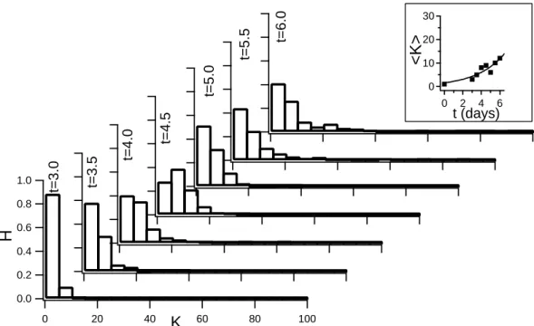 Figure 2.2: Normalized distribution of the number of nuclei K in a cell on the glass substrate.