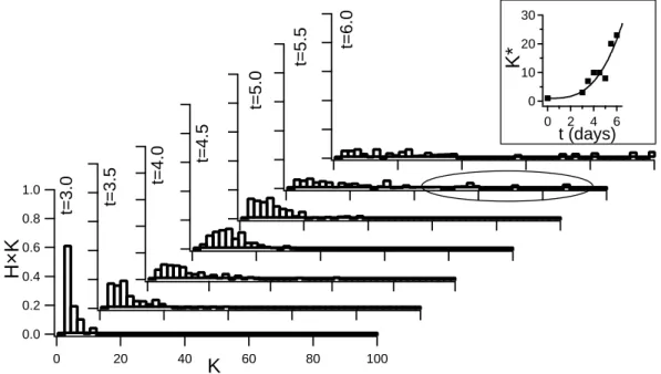 Figure 2.3: Normalized distribution of the probability H × K for a precursor mononuclear cell to be in an osteoclast with a given number of nuclei K (glass substrate)