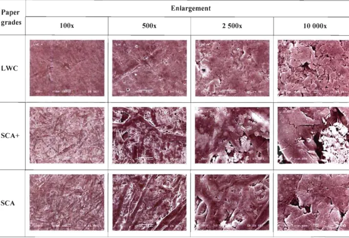 Figure  1.  SEM  images  of sam  pie  sheet  surfaces  at  different  enlargements  (100  to  10000x) 