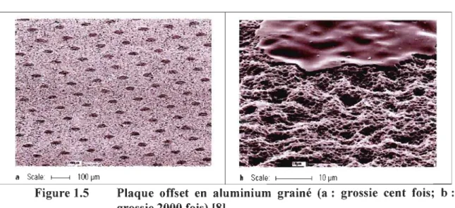 Figure 1.S  Plaque  offset  en  aluminium  grainé  (a:  grossie  cent  fois;  b: 