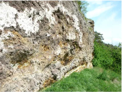 Figure 1 : Rochelimagne (entre Polignac et Blanzac). Vue de la paroi qui présente des aétites  dans sa partie basse  