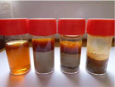 Figure  7 :  Ttubes  à  essais  montrant  les  phénomènes  de  précipitation  entre  une  solution  de  chlorure ferrique (FeCl 3 , 6 H 2 O) 10g/L et différentes argiles ou marnes