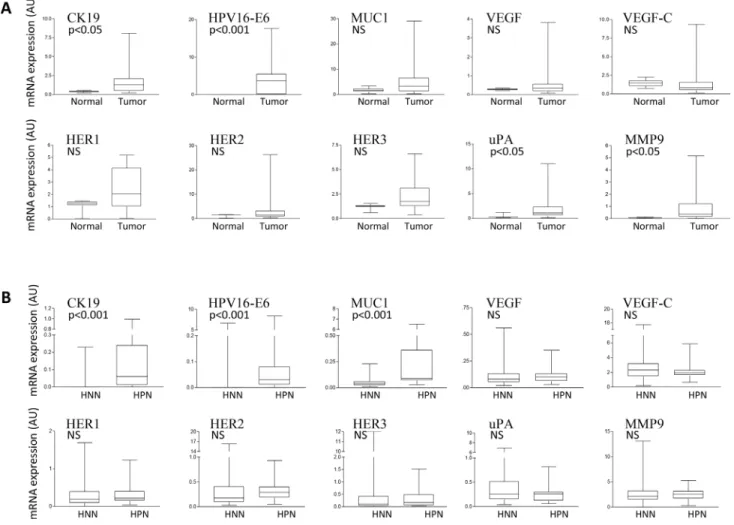 Figure 1: Cancer biomarker expression analysis in normal and UCC tissue samples.  (A) qPCR comparative gene expression  analysis of the indicated cancer biomarkers in RNA from uterine normal cervix (Normal) or primary uterine cervical tumors (Tumor)