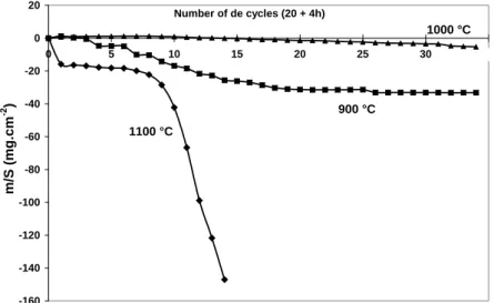 Fig. 4. Mass gain curves obtained during the thermal cycling test performed on a cobalt  base Phynox oxidized between 900 and 1100 °C, in air