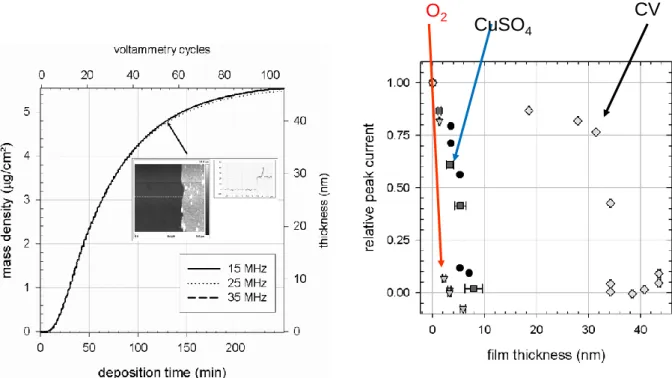 Fig. 2: Left part: thickness of a PDA film on a gold electrode during its deposition by means  of cyclic voltammetry (CV) at a scan rate of 10 mV.s -1  in the presence of deoxygenated Tris  buffer (50 mM  at pH = 8.5) with 150 mM NaNO 3 
