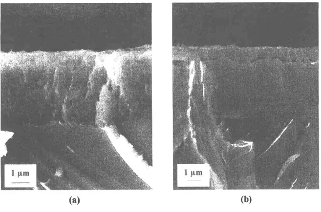 Figure I.4 : Images MEB des couches formées sur des échantillons de chrome oxydés à 900°C : (a)  avec 150 mbar de H 2 O pendant 5h ; (b) avec 150 mbar de O 2  pendant 1h (oxyde en haut  et métal en bas) [Henry 00]