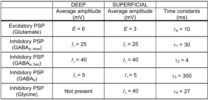 Table 2:   DEEP SUPERFICIAL  Average amplitude  (mV)  Average amplitude (mV)  Time constants (ms)  Excitatory PSP  (Glutamate)  E = 6  E = 3  τ e  = 10  Inhibitory PSP       (GABA a, slow )  I 1 = 25  I 1 = 25  τ 1  = 30  Inhibitory PSP       (GABA a, fast