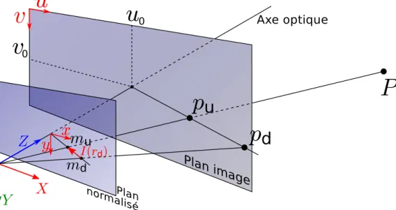 Figure 1.3 – Illustration du modèle de projection sténopé avec distorsion radiale.