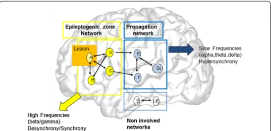 Figure 7 A model of the network organization of partial seizures. The brain structures are represented by letters (A,B, etc.)