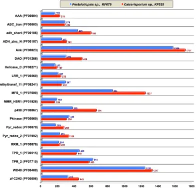 Figure 1.  Overview of protein domains in the two marine fungal genomes. AAA (PF00004) - ATPase  family associated with various cellular activities (AAA); ABC_tran (PF00005) - ABC transporter; adh_short  (PF00106)-short chain dehydrogenases; ADH_zinc_N (PF