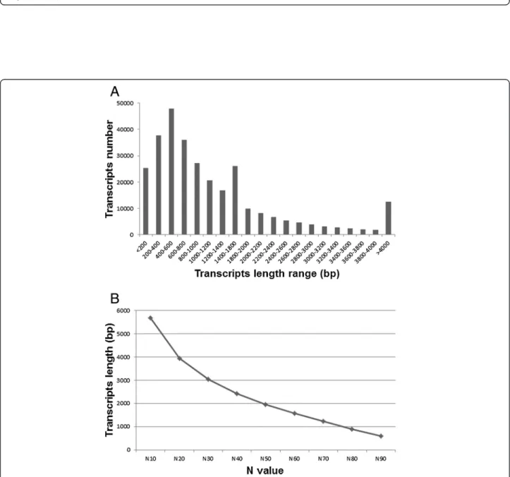 Figure 2 Length distribution of the hybrid-assembled transcripts. (A) Length frequency distribution of the 301,459 transcripts, (B) Size distribution plot of the 301,459 transcripts.