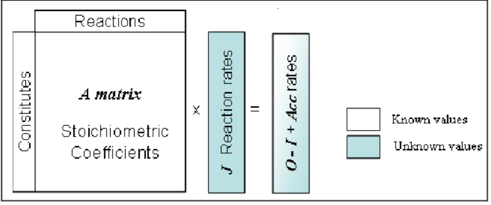 Figure  A:  In  silico  representation  of  the  metabolic  network  including the mass balance description