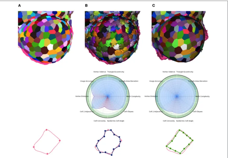 FIGURE 11 | Multi-criteria quality estimation applied on two tissue meshes. Original segmented tissue image (A), coarse 3D triangular mesh obtained from interfaces of Delaunay refinement tetrahedra (IDRA) (B) and enhanced tissue triangular mesh optimized u