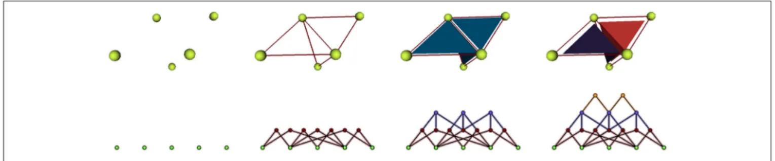 FIGURE 6 | Representation of a mesh containing 2 cells defined by 3 triangular faces as an incidence graph: 3D mesh on the first line, incidence graph representation on the second; the edges defining the triangles are linked to their two extremities, the t