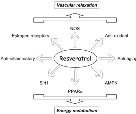 Figure 7. Summary of possible modes of action of resveratrol.