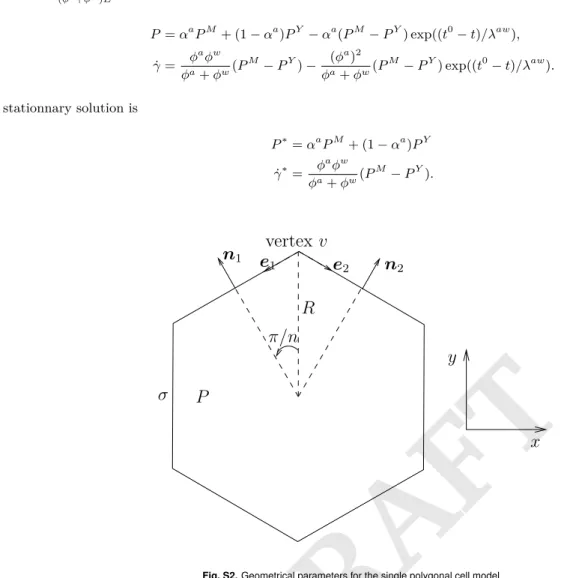 Fig. S2. Geometrical parameters for the single polygonal cell model.