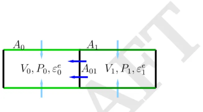 Fig. S4. Two cells model: symplasmic flows (dark blue arrows) occur through the contact surface A 01 ; apoplasmic flows (light blue arrows) occur through the surfaces A 0 and A 1 