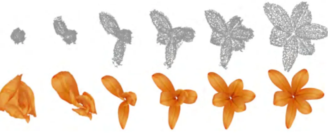 Fig. 12: Example of reconstruction of a blooming Golden Lily. The top row shows the point cloud and the bottom row shows the rendered reconstructed model [42].