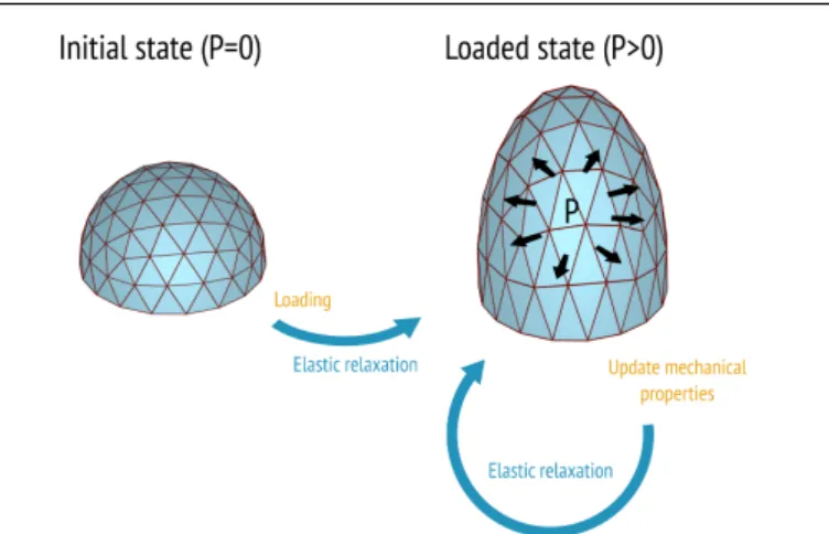 Fig. 8 Simulation pipeline. The initial state corresponds to the null stress state (no residual stress and no loading)