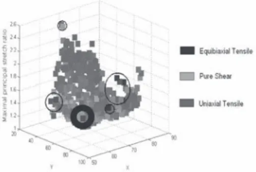 Figure 10.  Experimental  TIH  visualization:  maximum  value of  the principal stretch ratio.